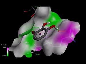Autodock Vina docking result analysis