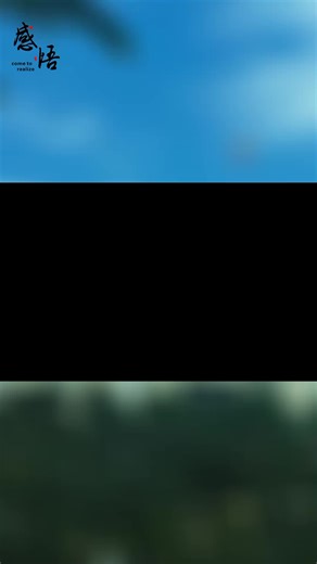 珍贵的真心与虚假的谎言