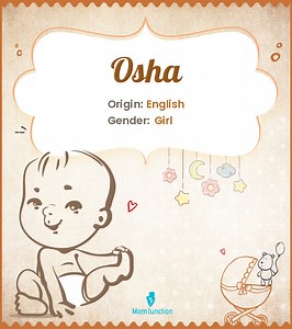Osha Name Meaning, Origin, History, And Popularity