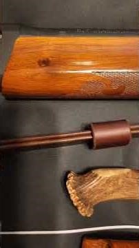 running deer with dogs setup #guitar #dogmusic#outdoors#deerhunter