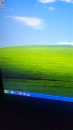 RETURN TO WINDOWS XP (Linux)