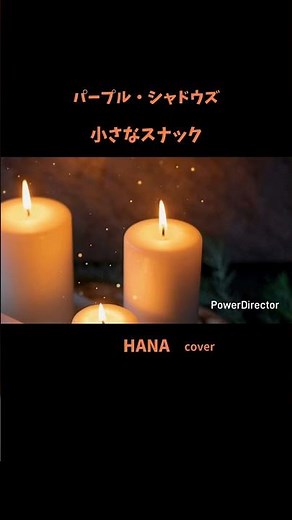 #小さなスナック#パープルシャドウズ#藤岡弘、#松竹#奥村チヨ#ダウンタウンブギウギバンド#桑田佳祐#吉幾三#ヴィレッジシンガーズ#昭和の名曲#昭和の歌謡曲#懐メロ#cover
