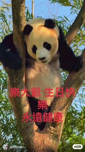 推薦帳號