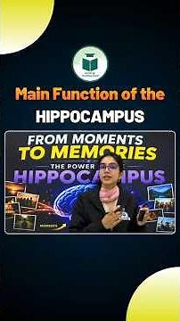 Main Function of the Hippocampus 🧠 | Brain Science in 60 Seconds!