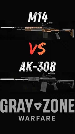 M14 vs AK 308 Gray Zone Warfare