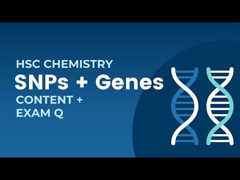 HSC Biology Full Lesson: SNPs, Gene Sequencing| Module 5
