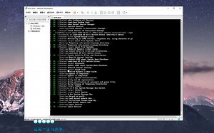 2020-03-12 vmware 安装 archlinux