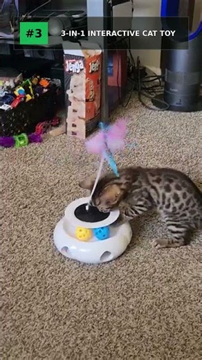 Top 5 Interactive Cat Toys 2026 #shorts