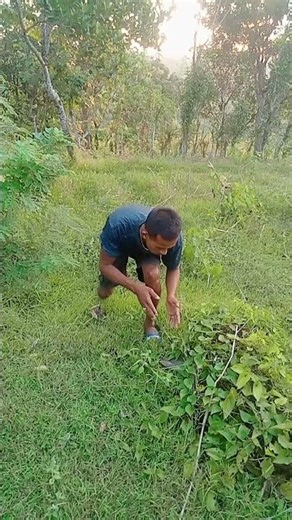 menangkap ayam unik #fypシ