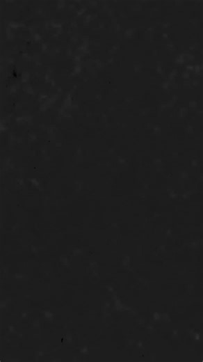 246 reactions · 19 shares | MC50 - 10 MORE  This album was recorded live during the 2018 anniversary tour in Seattle, WA, Cincinnati, OH, and Hamburg, Germany. It features tracks from all three original MC5 albums - “Kick Out The Jams”, “Back In The USA”, and “High Time” - along with a cover of Ray Charles’ “I Believe to My Soul”. Pre-order now: https://mc5.lnk.to/10MORE . . . #mc5 #mc50 #waynekramer #kickoutthejams #vinyl | MC5 | Facebook