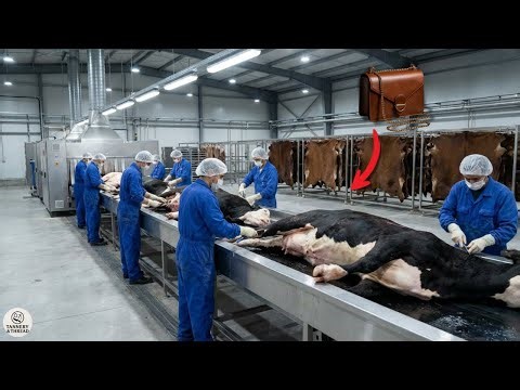 How Cow Leather Is Made in Modern Factories (Full Process) | Tannery & Thread