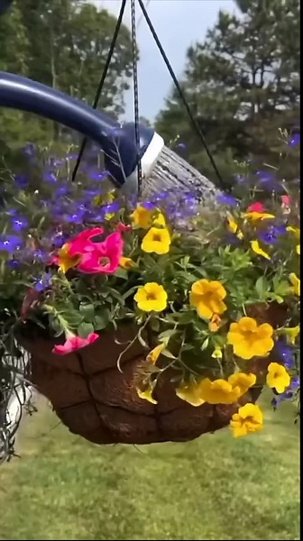 Curb Appeal Hack 🏡