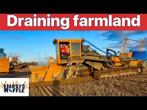 Farm update 411 Somerset floods again. How field drains are put in & gravel on top, Rare bird visits