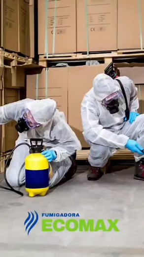 Protege a tu familia, tus clientes y colaboradores. Servicio de Calidad ✅️ Control Integral de Plagas ✅️ Certificado de Fumigación ✅️ Inspección Gratis No esperes más Contáctenos! WhatsApp 6198-1724 ECOMAX "Tu aliado contra las plagas" #fumigacion #controldeplagas | Luis Rafael Cruz Vargas