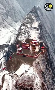 43K views · 1.4K reactions | such an amazing sighting to see  | Go Viral | Facebook