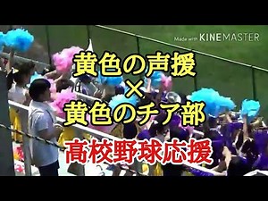【成田高校】チア部 野球応援 どの部活も輝いてます