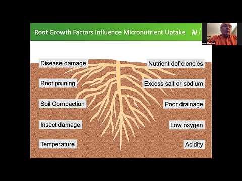 Crop Response to Micronutrients