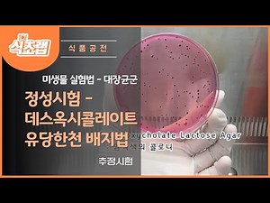 MBcell 식품공전 대장균군 정성시험 (데스옥시콜레이트 유당한천 배지법 - 추정시험)
