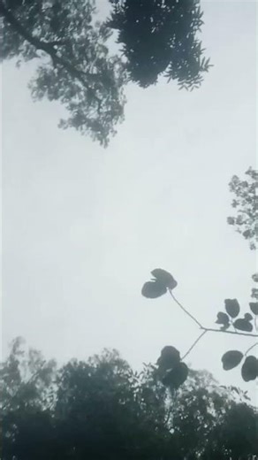 #funny #shortvideos #viral #trending