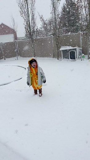 Niko loves the snow ❄️☺️ #aforadley #aforadleyclips #nikobear