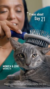 Monica's reactions to her cat's allergens started improving around day 21. Try Purina ONE LiveClear allergen-reducing cat food, and you could see a difference, too. #PurinaONE #LiveClear #CatAllergens | Purina ONE
