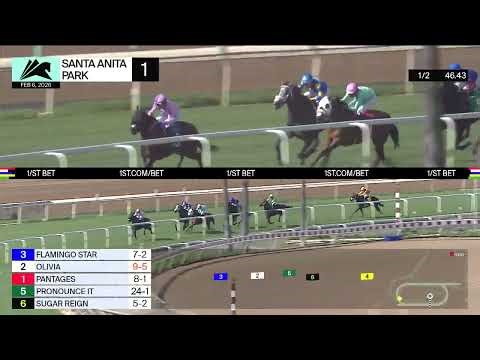 Flamingo Star wins Race 1 on Friday, February 6 at Santa Anita Park