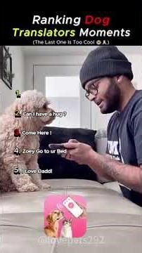 Ranking dog translators moments