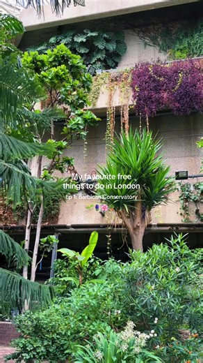Barbican Conservatory free visit: London’s top free tropical garden