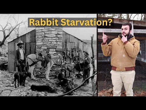 Protein Poisoning: Can You Starve from Eating Only Rabbit Meat?