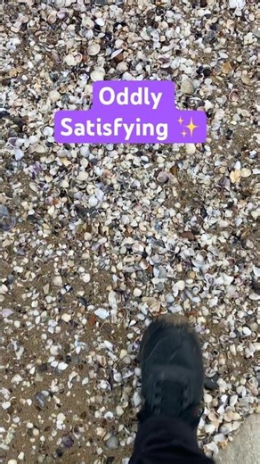 Crushing Seashells into Dust 💥 Oddly Satisfying ASMR 🐚