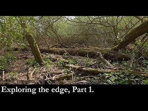 Down in the dump, Part 1. Exploring along the edge of a mamoth old dumpsite. Mudlarking adventure.