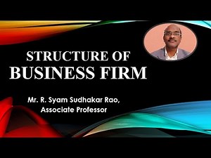 A Deep Dive Into BEFA: Business Firm Structures