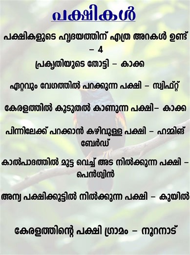 പക്ഷികൾ/Ammus Teach &Tips #psc #pscjunior #cmkid #pscdiscussion #gkquiz #gk #pscmr #birdsquiz #birds