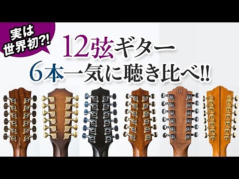 聴けばきっと欲しくなる、12弦アコースティック・ギターの魅惑のサウンド。定番ブランドから国産の注目株まで4ブランド6モデルを徹底試奏！