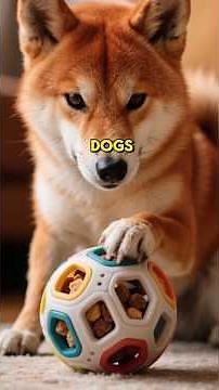 SHIBA INUS Explained by AI ✨ for BEGINNERS! Good DOG 101 Training Tips & Facts! #barking #grooming