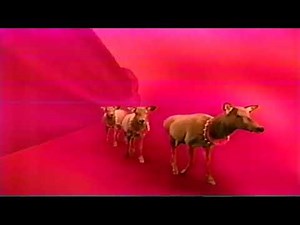 CTV Christmas ID & KingWorld and Columbia TriStar Television logos 1998