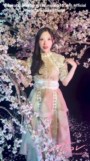 Aiki Taniguchi: Only 3 days left until the final day! Sakurazaka46 Fan Club "SakuColle" 2026 Vol....