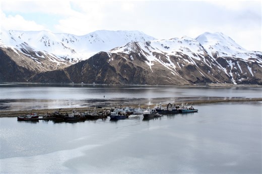 ‘Deadliest Catch’ crewman dies after falling overboard, Coast Guard says