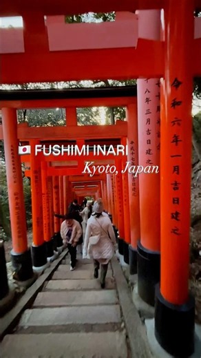 ⛩️ Fushimi Inari Taisha – Kyoto, Japan 🇯🇵