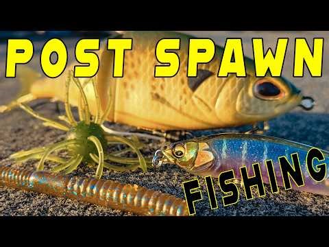 Post Spawn Bass Fishing! Day On The Water With Matt!