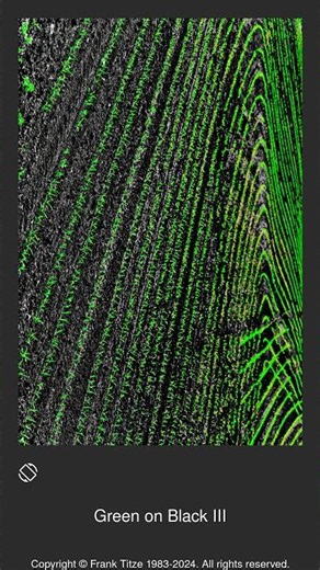 008356 - Green on Black III