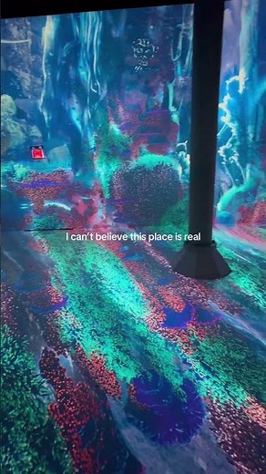 I can’t believe this place is real #artechouse #art #immersive #experience