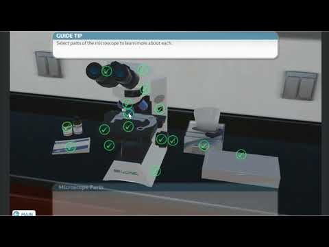 How to Use a Microscope Explained.