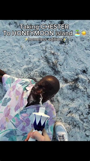 Taking Chester to the beach