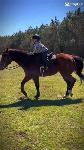 😂🫣 If you are a horse person, then you have fallen off of a horse (or will) #fyp #horse #horsesoftiktok #equestrian #farm #equine