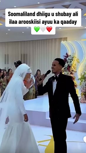 حسابات مقترحة