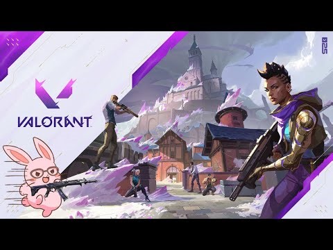 【VALORANT】アルジャンのみんなでカスタム🐇