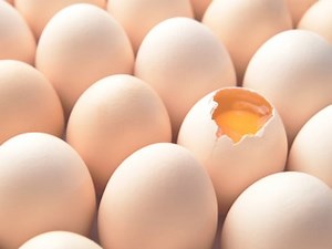 Everything you need to know about salmonella