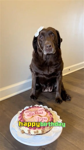 what an absolute dream bella gets to see 17 🎀 happy