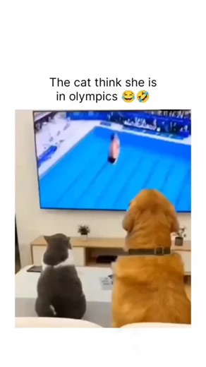 Exploring the Fascinating World of AI Technology and Smart Bots